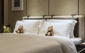 Туры в отель Shen Zhen Cloud Park Manhattan Hotel