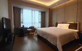 Туры в отель Shen Zhen Cloud Park Manhattan Hotel