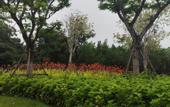 Туры в отель Ruifeng Boutique Hotel (Tong'an District Government Branch)