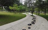 Туры в отель Ruifeng Boutique Hotel (Tong'an District Government Branch)
