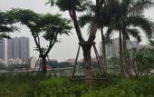 Туры в отель Ruifeng Boutique Hotel (Tong'an District Government Branch)