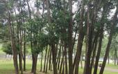 Туры в отель Ruifeng Boutique Hotel (Tong'an District Government Branch)