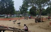 Туры в отель Ruifeng Boutique Hotel (Tong'an District Government Branch)