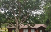 Туры в отель Ruifeng Boutique Hotel (Tong'an District Government Branch)
