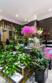 Туры в отель Dongguan Guohe Residence
