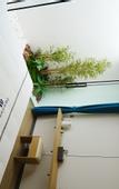 Туры в отель Home Inn Huaxuan Select Hotel (Chengdu Tianfu Airport Branch)