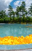 Туры в отель Fantawild holiday hotel Xiamen