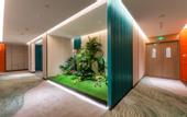 Туры в отель Madison Hotel Beijing Tongzhou Universal Beijing