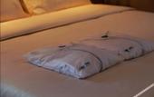 Туры в отель Atour  X  Hotel