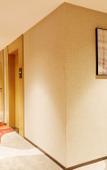Туры в отель Shankee Chain Hotel (Chongqing Pengshui County Jinshanguangchang)