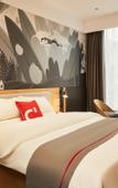 Туры в отель Shankee Chain Hotel (Chongqing Pengshui County Jinshanguangchang)