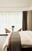 Туры в отель Shankee Chain Hotel (Chongqing Pengshui County Jinshanguangchang)