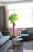 Туры в отель Shankee Hotel (Huludao Xingcheng Xinghai South Street)
