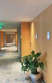 Туры в отель Hilton Garden Inn Huzhou Anji Phoenix Mountain
