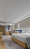 Туры в отель Hilton Garden Inn Huzhou Anji Phoenix Mountain