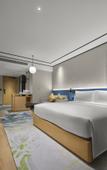 Туры в отель Hilton Garden Inn Huzhou Anji Phoenix Mountain