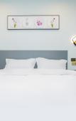 Туры в отель Shengjia Hotel (Nanjing Dongda Chengxian Xueyuan Taifeng Road Subway Station)