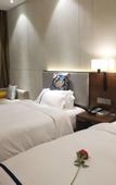 Туры в отель Jiuyi Hotel