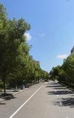 Туры в отель Jiuyi Hotel