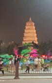 Туры в отель Stars Hotel (Datang Ever Sleeping City Branch)