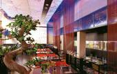 Туры в отель Makedonia Palace