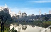 Туры в отель Sfeel Designer Hotel (Chengdu Dufu Caotang Shop)