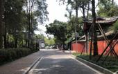 Туры в отель Sfeel Designer Hotel (Chengdu Dufu Caotang Shop)