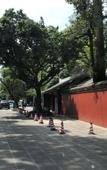 Туры в отель Sfeel Designer Hotel (Chengdu Dufu Caotang Shop)