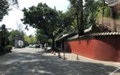 Туры в отель Sfeel Designer Hotel (Chengdu Dufu Caotang Shop)