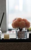 Туры в отель Sfeel Designer Hotel (Chengdu Dufu Caotang Shop)