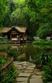 Туры в отель Sfeel Designer Hotel (Chengdu Dufu Caotang Shop)