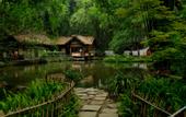 Туры в отель Sfeel Designer Hotel (Chengdu Dufu Caotang Shop)