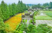 Туры в отель Floral Hotel · Jiangxiangtai Tea Culture Hall hotel (Huizhou Ancient City)
