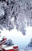 Туры в отель jing jian lnn