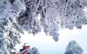 Туры в отель jing jian lnn