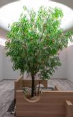 Туры в отель Shanghai Yuetingju City Nature Hotel (Songjiang University Town)