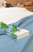 Туры в отель Shanghai Yuetingju City Nature Hotel (Songjiang University Town)