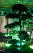 Туры в отель Yiwu chenming  Impression  Hotel