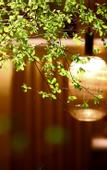 Туры в отель HOTEL ANDI TOWNSCAPE WUHAN
