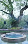 Туры в отель Chongqing Jingangbei OLD VILLGAE SPA HOTEL