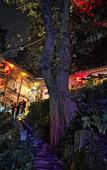 Туры в отель Chongqing Jingangbei OLD VILLGAE SPA HOTEL