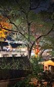 Туры в отель Chongqing Jingangbei OLD VILLGAE SPA HOTEL