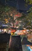 Туры в отель Chongqing Jingangbei OLD VILLGAE SPA HOTEL