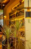 Туры в отель Chongqing Jingangbei OLD VILLGAE SPA HOTEL