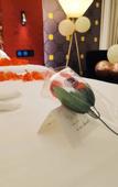 Туры в отель Jinjiang Metropolo Hotel Shenzhen Longgang Central City
