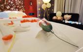 Туры в отель Jinjiang Metropolo Hotel Shenzhen Longgang Central City