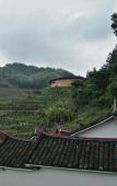 Туры в отель Fangyuan Inn