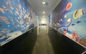 Туры в отель Jujia Hostel