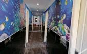 Туры в отель Jujia Hostel