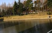 Туры в отель Jujia Hostel